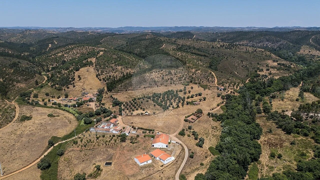 Quinta T7 para Venda em Saboia Foto 28