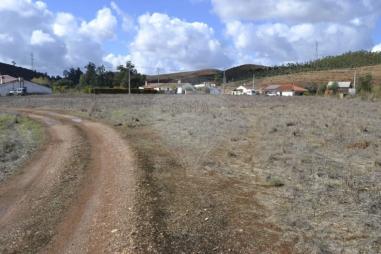 Quinta T7 para Venda em Saboia Foto 14