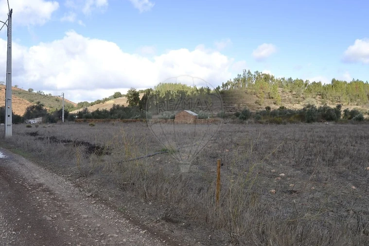 Quinta T7 para Venda em Saboia Foto 19