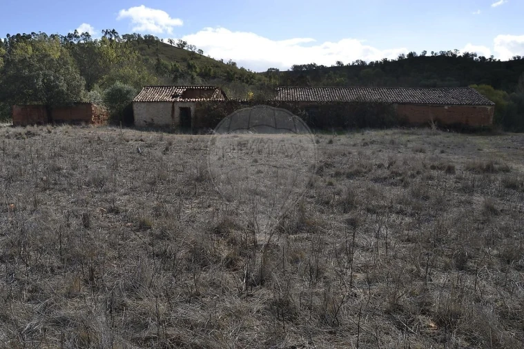 Quinta T7 para Venda em Saboia Foto 15