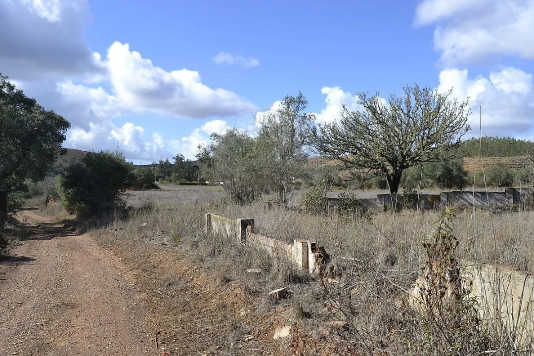 Quinta T7 para Venda em Saboia Foto 1
