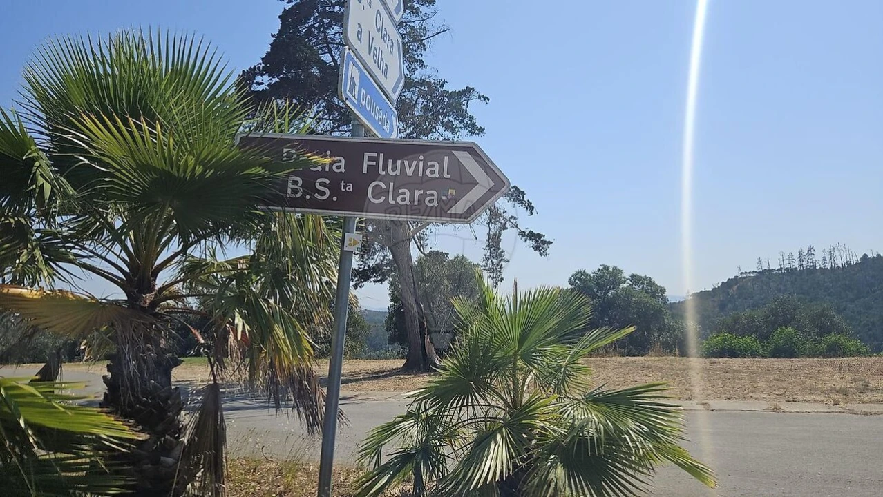 Quinta T7 para Venda em Saboia Foto 33
