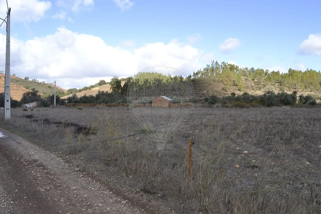 Quinta T7 para Venda em Saboia Foto 19