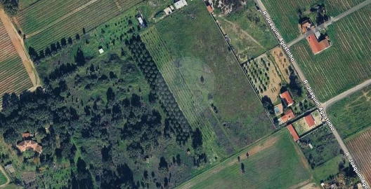 Terreno para Venda em Poceirão e Marateca