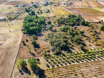 Terreno para Venda em Poceirão e Marateca
