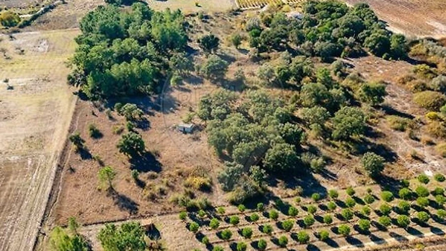 Terreno para Venda em Poceirão e Marateca