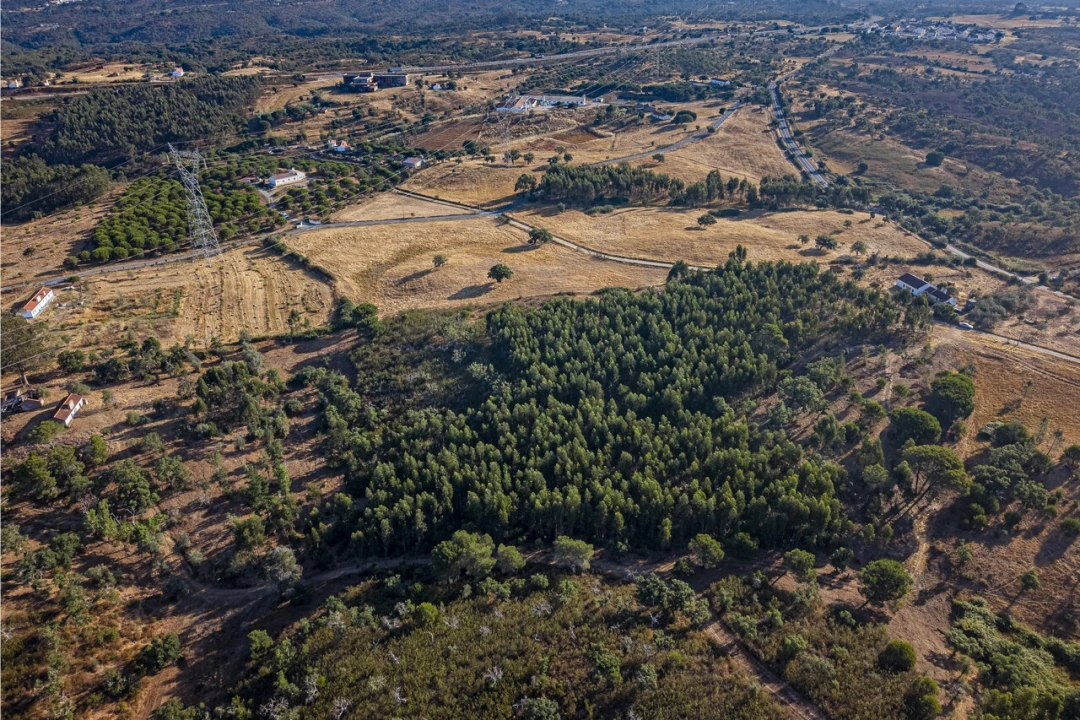 Terreno para Venda em São Francisco da Serra Foto 20