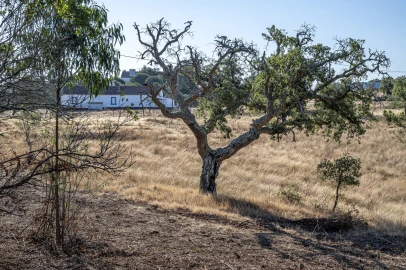 Terreno para Venda em São Francisco da Serra
