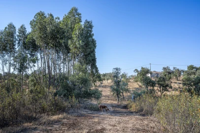 Terreno para Venda em São Francisco da Serra