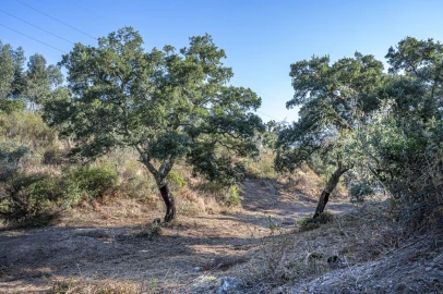 Terreno para Venda em São Francisco da Serra