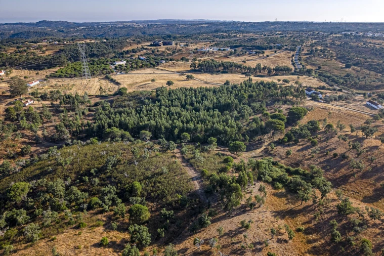 Terreno para Venda em São Francisco da Serra Foto 19