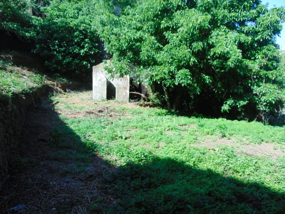 Moradia T4 para Venda em Nossa Senhora da Conceição, São Pedro e São Dinis Foto 5