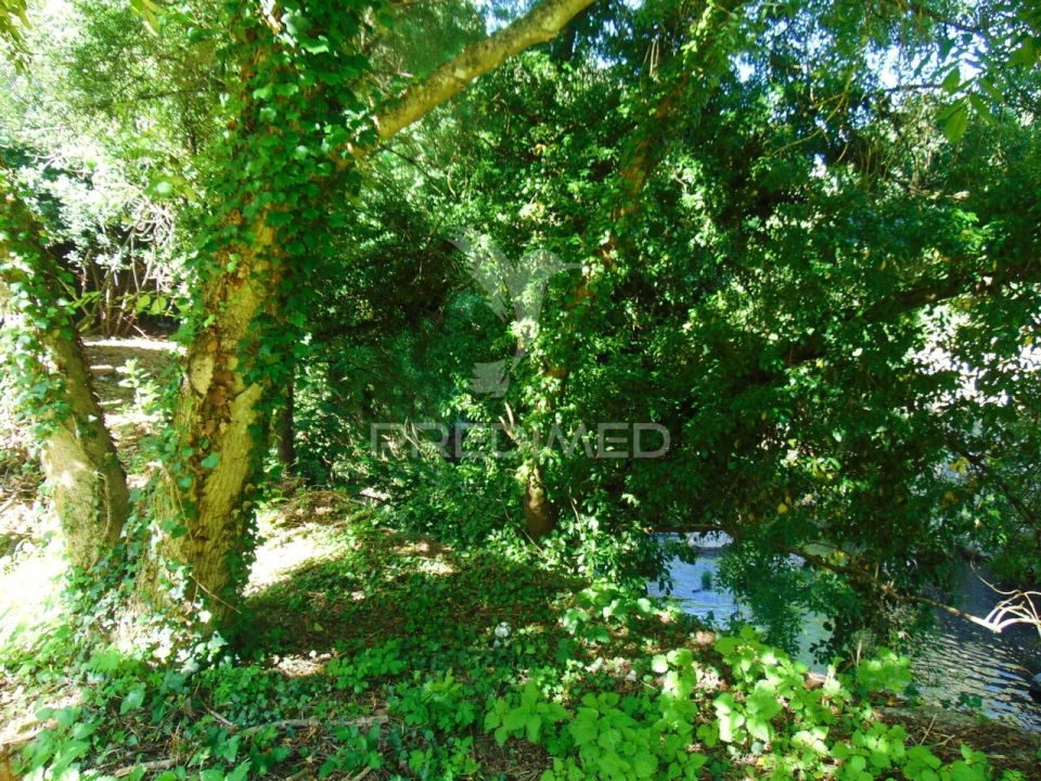 Moradia T4 para Venda em Nossa Senhora da Conceição, São Pedro e São Dinis Foto 35