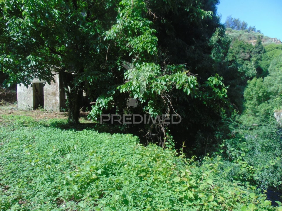 Moradia T4 para Venda em Nossa Senhora da Conceição, São Pedro e São Dinis Foto 25