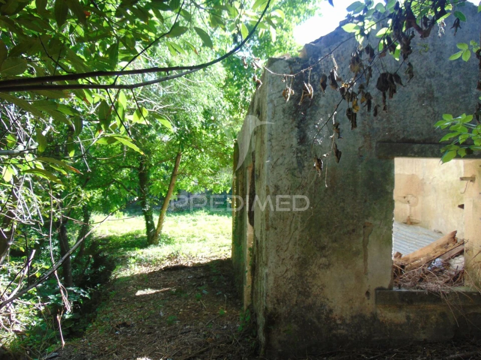 Moradia T4 para Venda em Nossa Senhora da Conceição, São Pedro e São Dinis Foto 27
