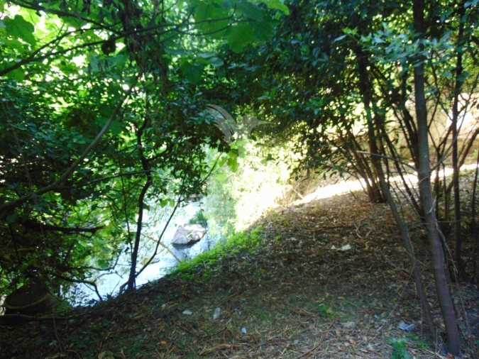 Moradia T4 para Venda em Nossa Senhora da Conceição, São Pedro e São Dinis Foto 37