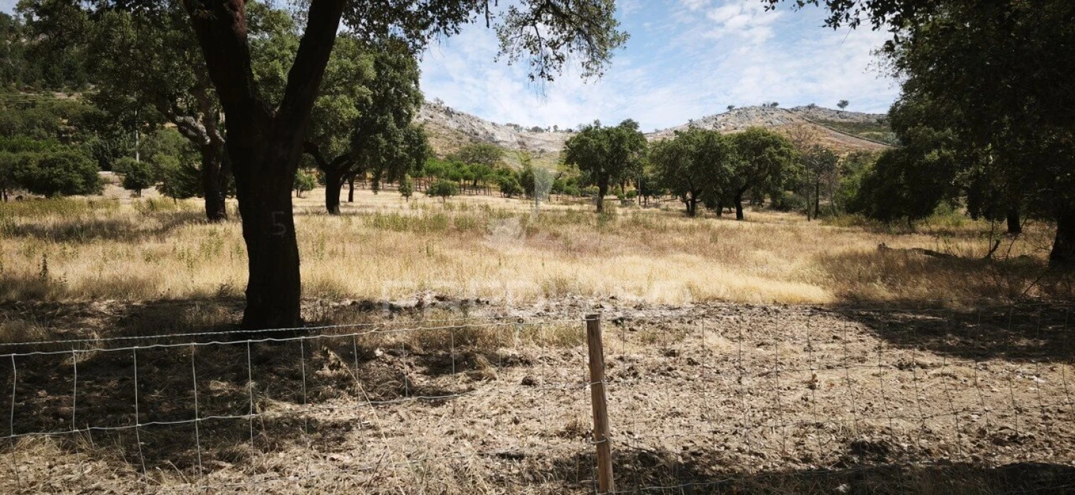 Terreno para Venda em Fortios Foto 2