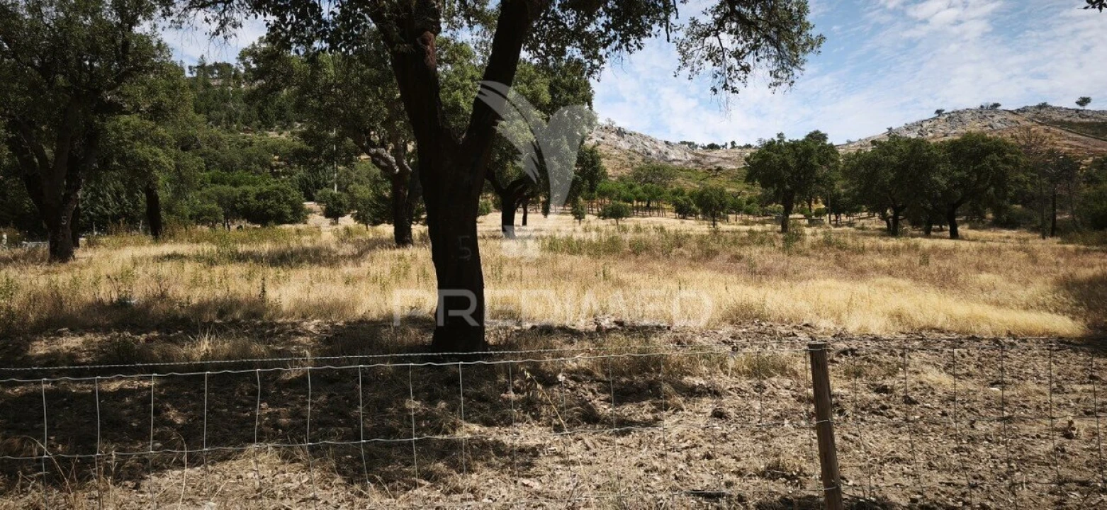 Terreno para Venda em Fortios Foto 1