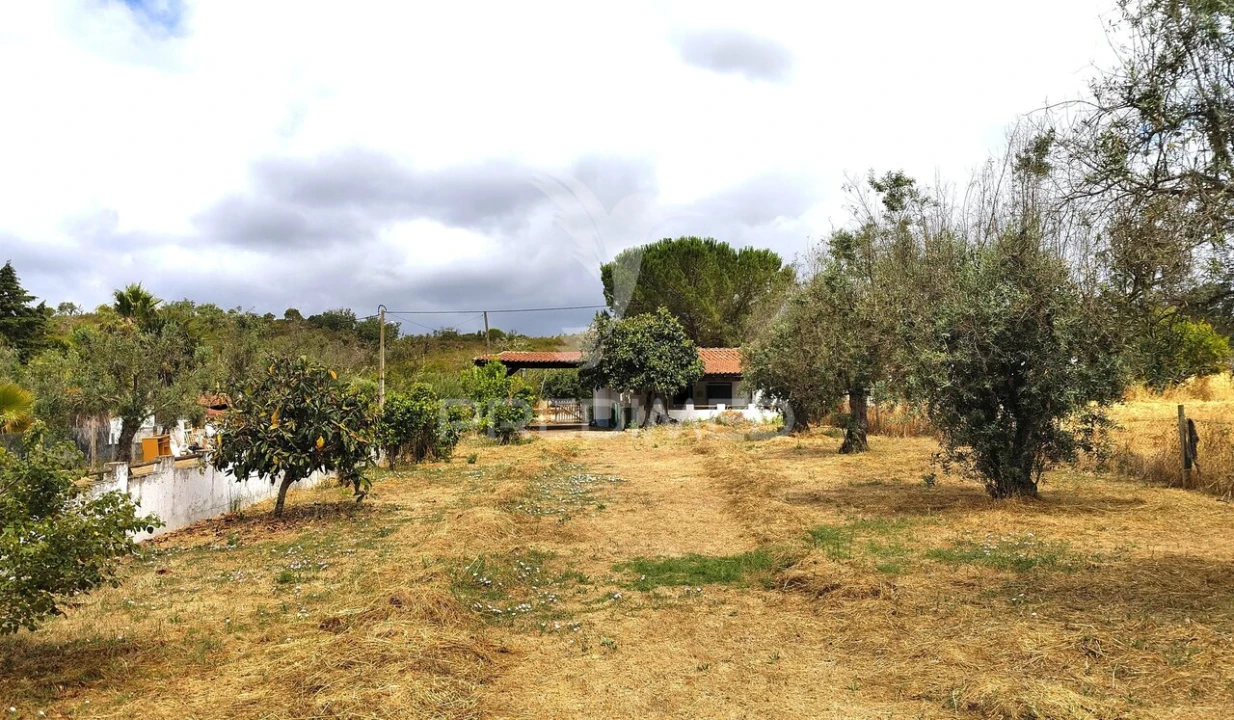 Quinta T4 para Venda em Reliquias Foto 9