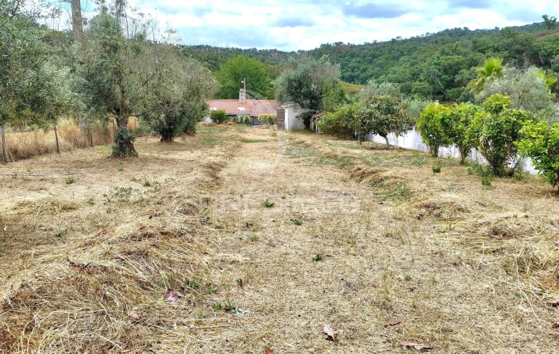 Quinta T4 para Venda em Reliquias Foto 10