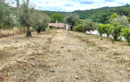 Quinta T4 para Venda em Reliquias