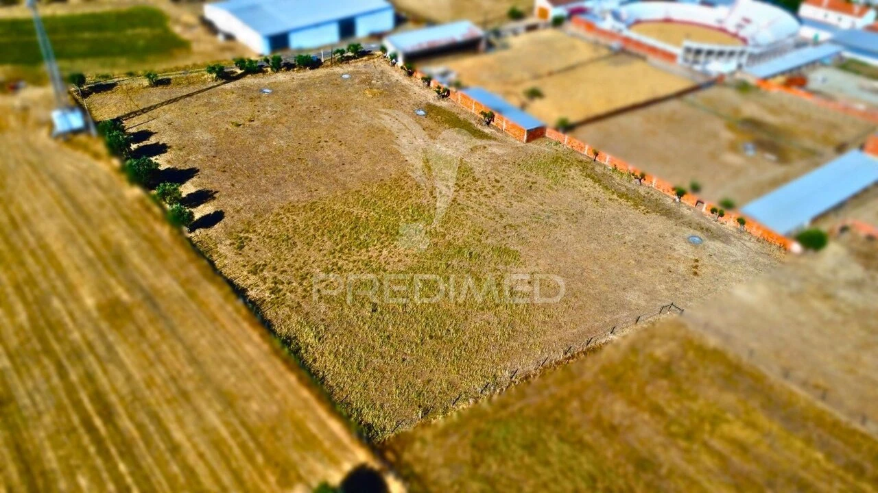 Terreno para Venda em São Manços e São Vicente do Pigeiro Foto 3