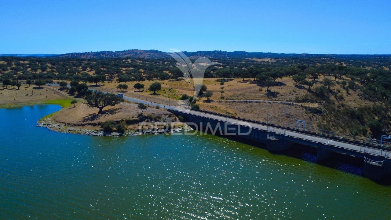 Terreno para Venda em São Manços e São Vicente do Pigeiro Foto 8