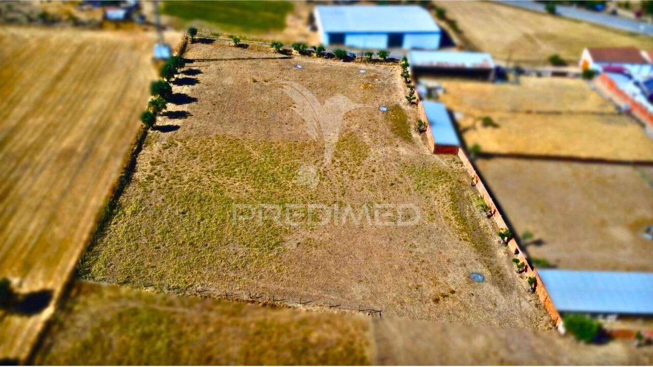 Terreno para Venda em São Manços e São Vicente do Pigeiro Foto 7