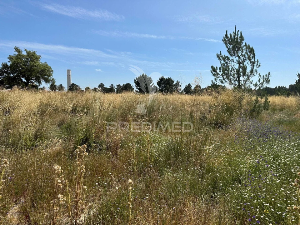 Terreno para Venda em Pegões Foto 1