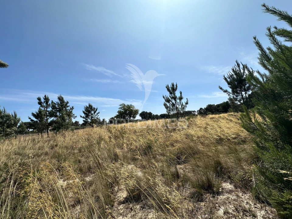 Terreno para Venda em Pegões Foto 3