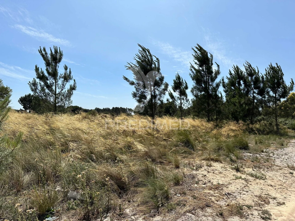 Terreno para Venda em Pegões Foto 2