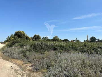 Terreno para Venda em Pegões