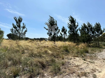 Terreno para Venda em Pegões