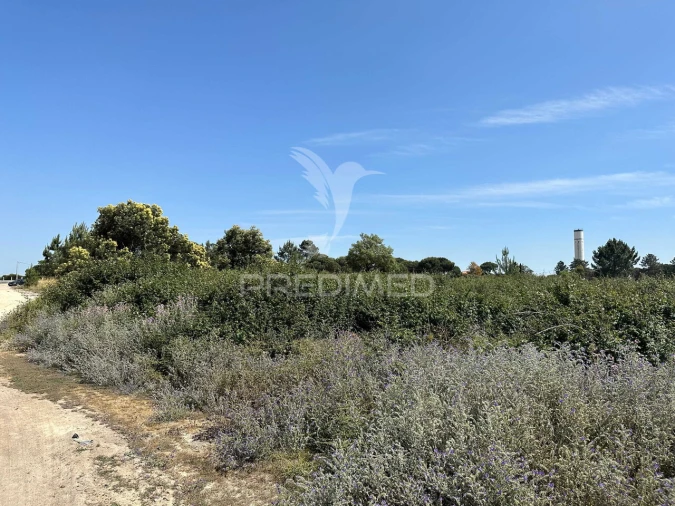 Terreno para Venda em Pegões Foto 4