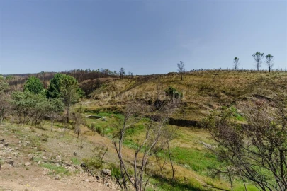 Quinta T6 para Venda em Casegas e Ourondo