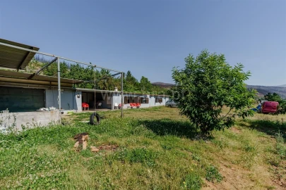 Quinta T6 para Venda em Casegas e Ourondo