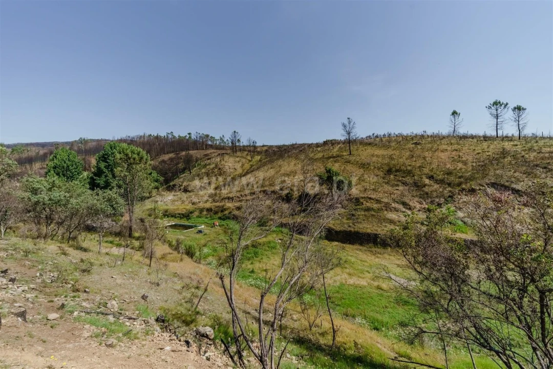 Quinta T6 para Venda em Casegas e Ourondo Foto 18