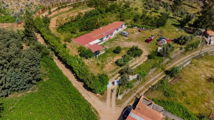 Quinta T6 para Venda em Casegas e Ourondo