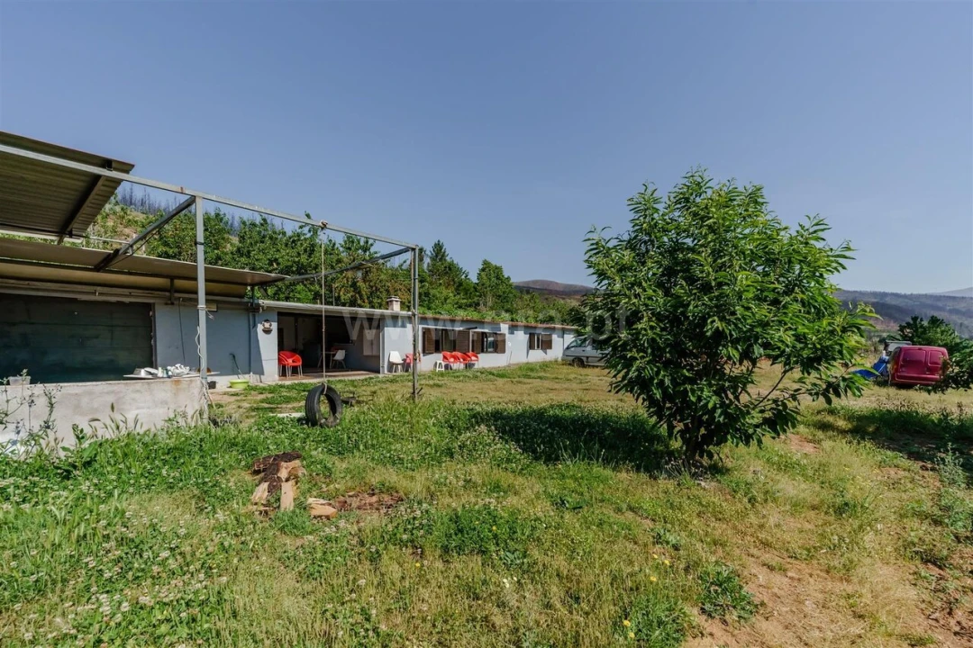 Quinta T6 para Venda em Casegas e Ourondo Foto 10
