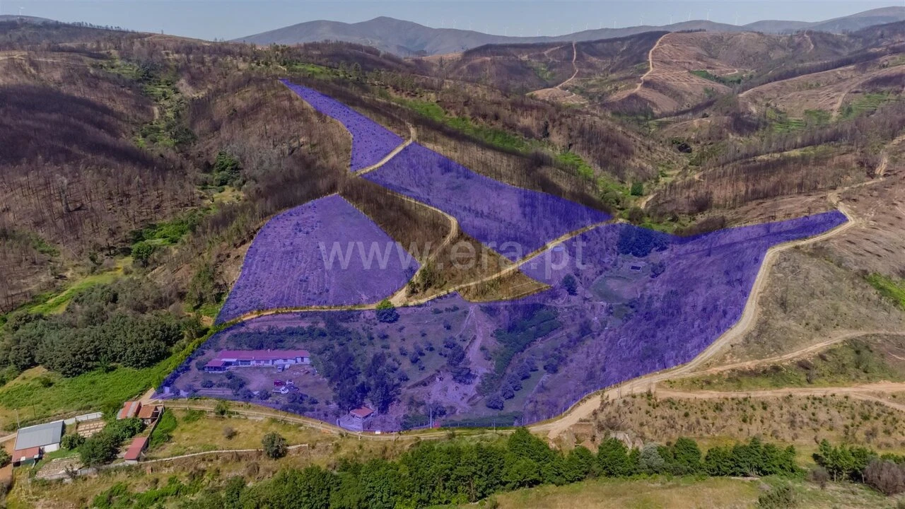 Quinta T6 para Venda em Casegas e Ourondo Foto 19