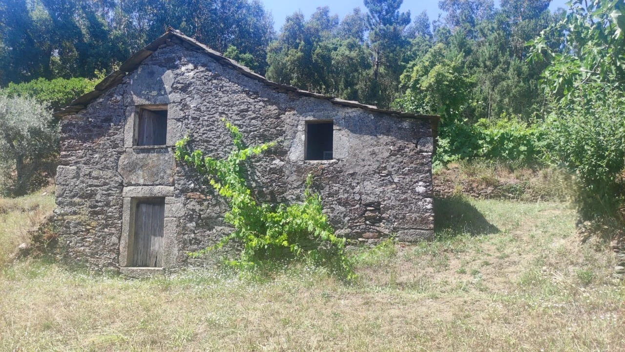 Moradia T0 para Venda em São Miguel do Mato Foto 24