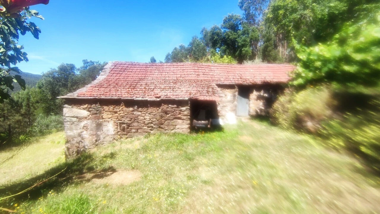 Moradia T0 para Venda em São Miguel do Mato Foto 9