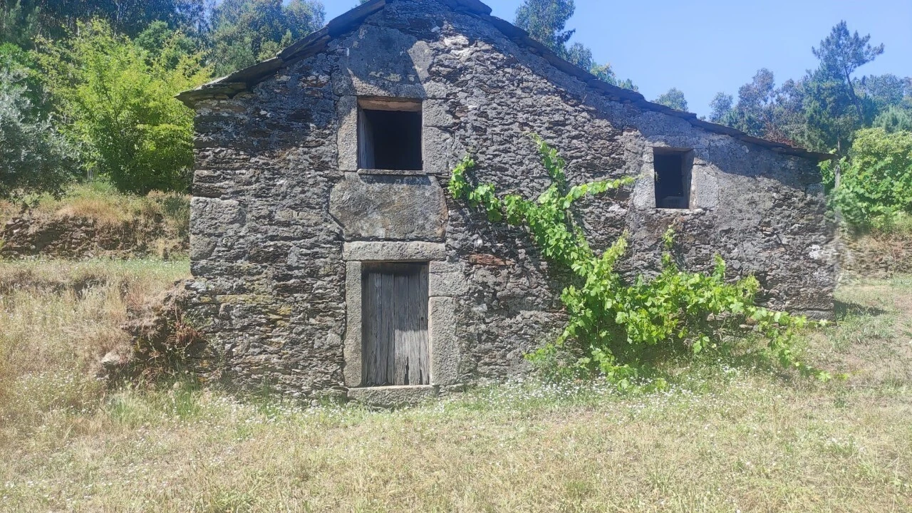 Moradia T0 para Venda em São Miguel do Mato Foto 15