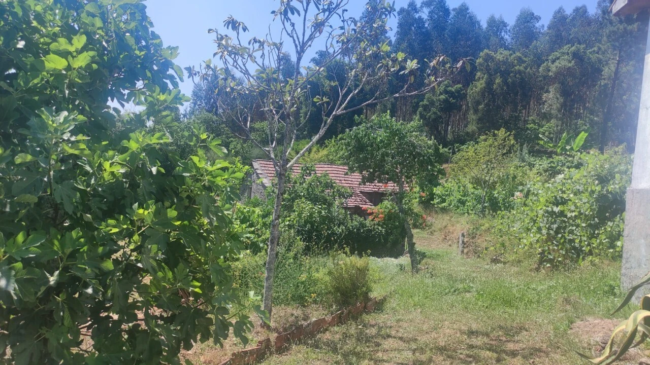 Moradia T0 para Venda em São Miguel do Mato Foto 23