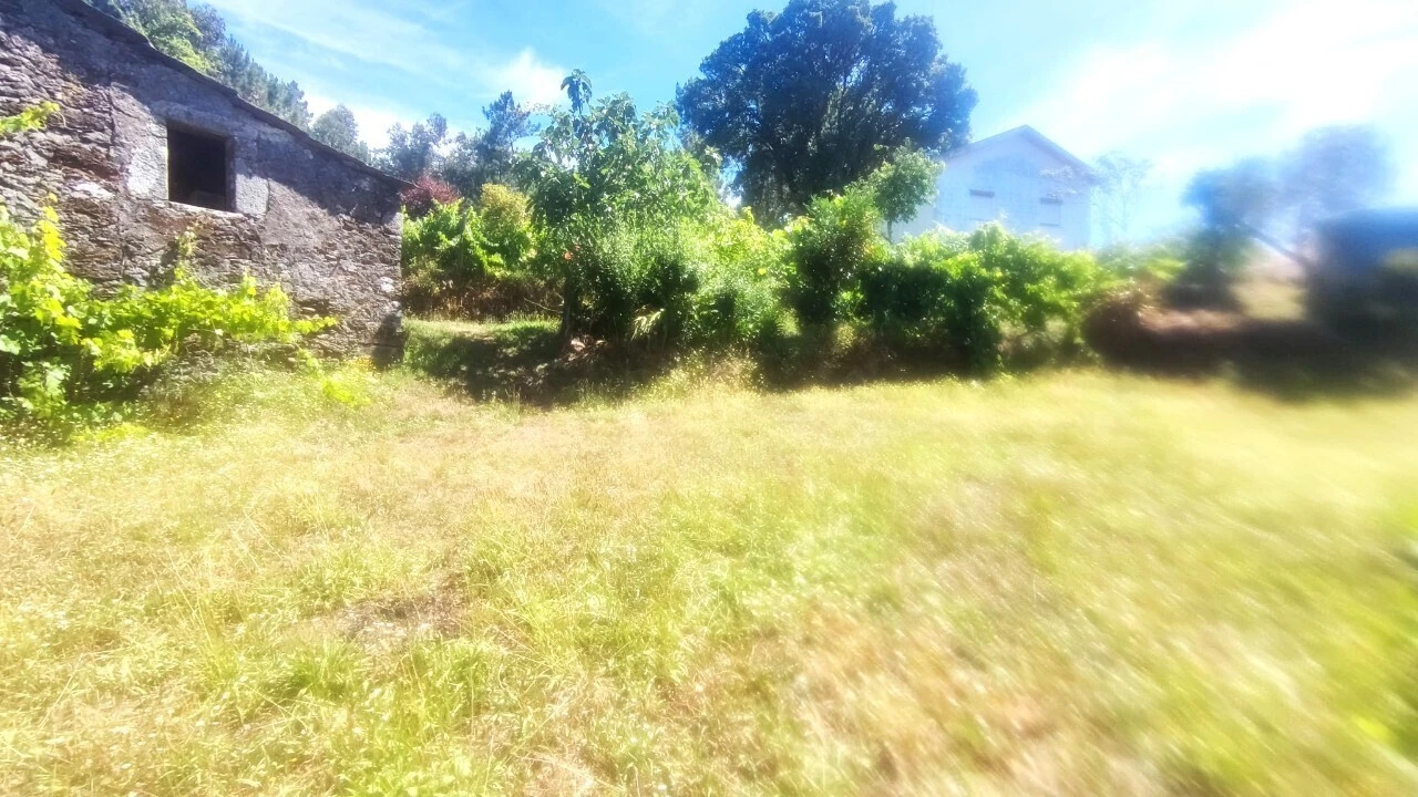 Moradia T0 para Venda em São Miguel do Mato Foto 23