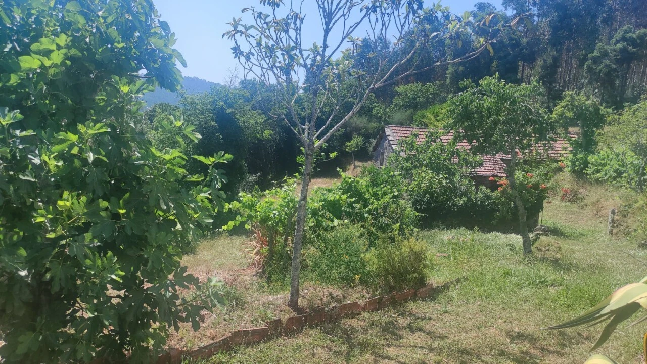 Moradia T0 para Venda em São Miguel do Mato Foto 10