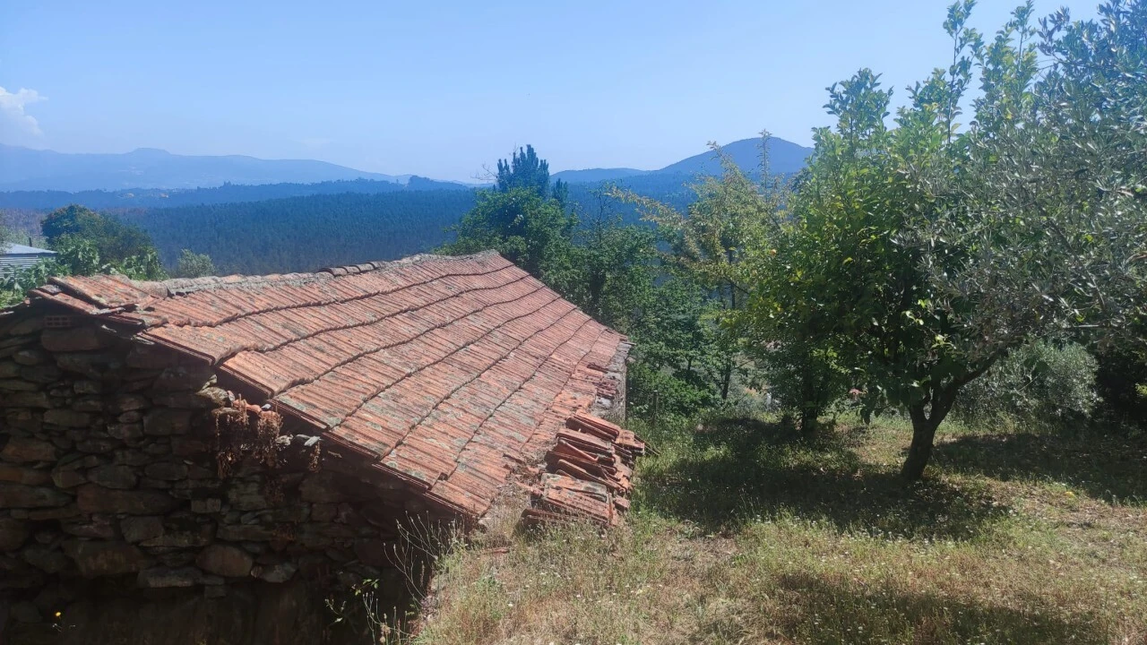 Moradia T0 para Venda em São Miguel do Mato Foto 5