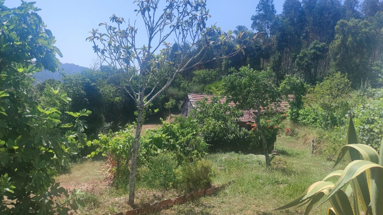Moradia T0 para Venda em São Miguel do Mato Foto 16
