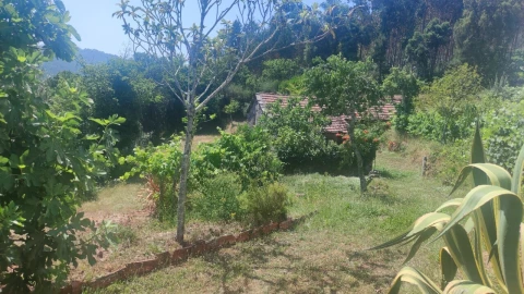 Moradia T0 para Venda em São Miguel do Mato