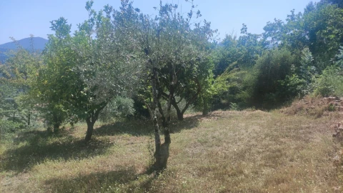 Moradia T0 para Venda em São Miguel do Mato